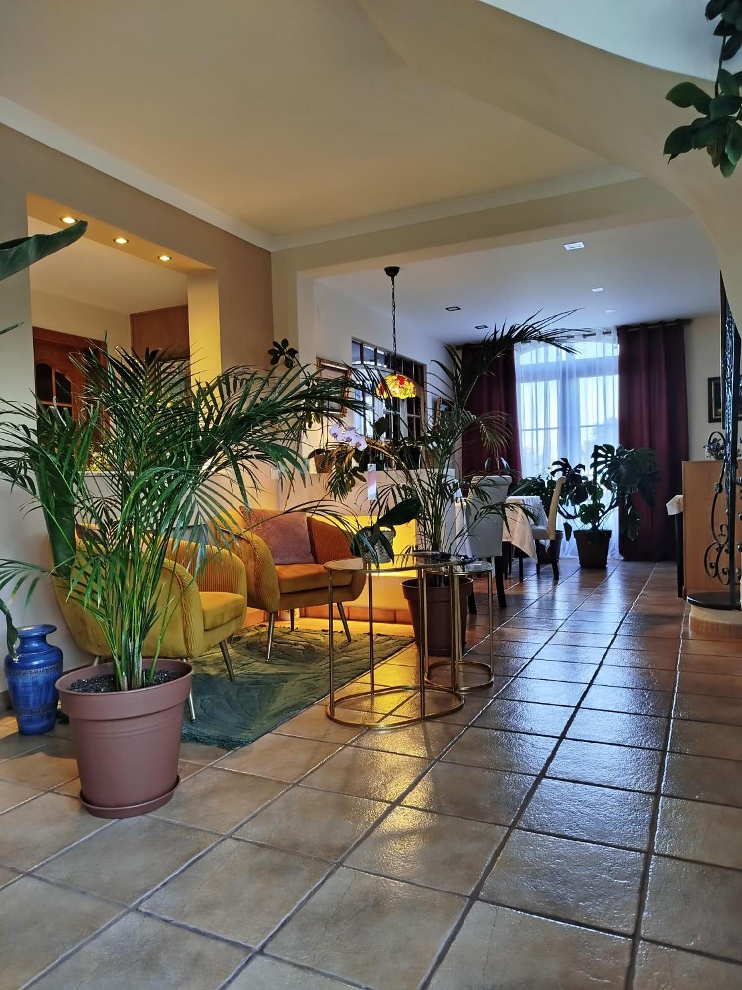 Elodie'S Country House - Alojamento Local Otel Grândola Dış mekan fotoğraf